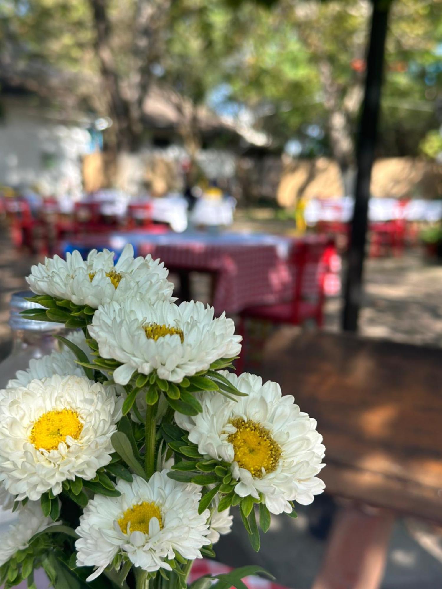 Vila Gorska Žabljak Dış mekan fotoğraf